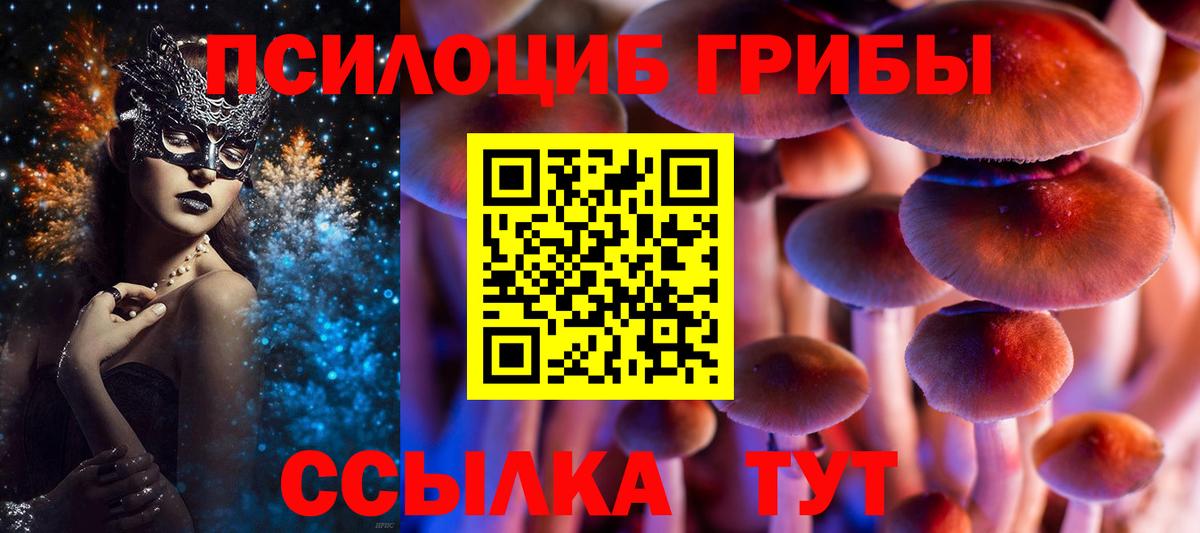 Псилоцибиновые грибы мухоморы Щёлково